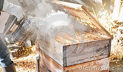 Bee farming, wood box and smoke with nature and beekeeping, honey extraction and natural product outdoor. Farmer Stock Photo