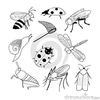 bee, fly, ladybug, mosquito, butterfly net, snail, locust, moth set icon. hand drawn doodle style. , minimalism Stock Photo