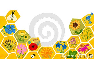 Bee friendly flowers on the honeycomb background. Save the bees concept. Pollinator friendly plants Cartoon Illustration