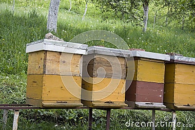 Bee hives Stock Photo