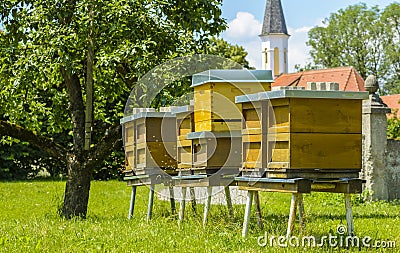 Bee hives in the garden Stock Photo