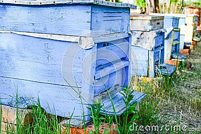 Bee hives Stock Photo