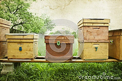 Bee hives in the field Stock Photo