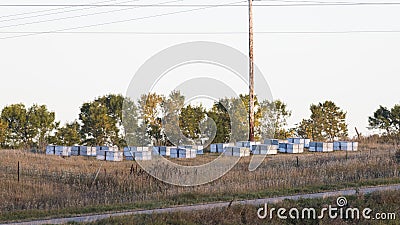 Bee Hives Stock Photo