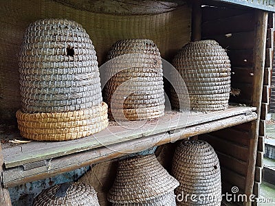 Bee hives Stock Photo