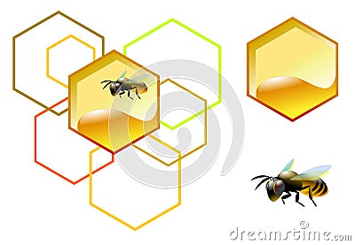 Bee with honeycomb Stock Photo