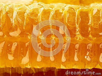 Bee honeycomb closeup, fresh stringy dripping sweet honey, macro background Stock Photo