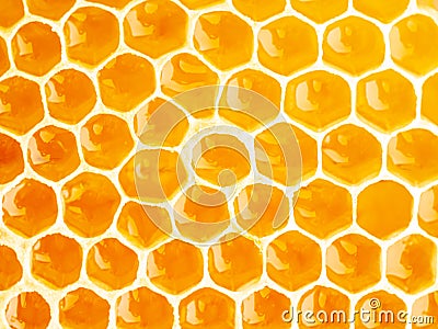 bee honeycomb closeup, fresh stringy dripping sweet honey, macro Stock Photo