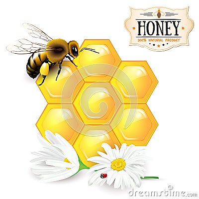 Bee, honeycomb, daisies and honey label Cartoon Illustration