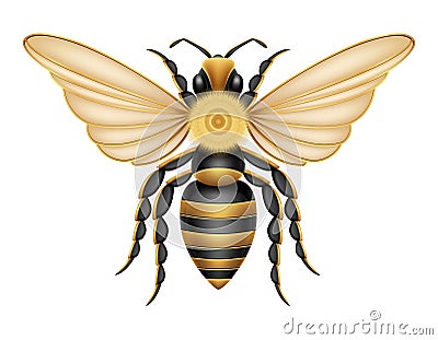 bee insects wildlife animals vector illustration Vector Illustration