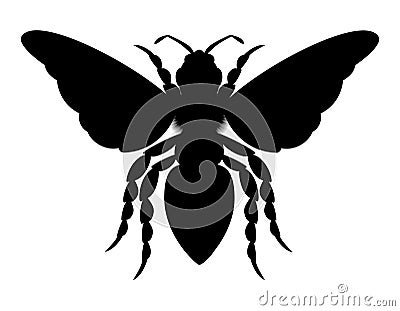 bee insects wildlife animals vector illustration Vector Illustration