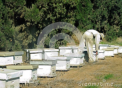 Bee keeper Stock Photo