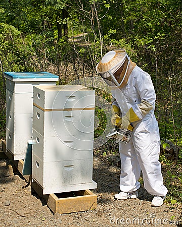 Bee Keeper Stock Photo