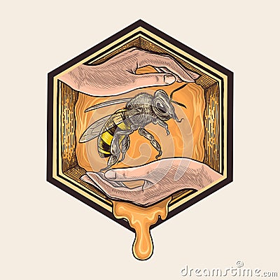 Bee keeper hand drawing vintage illustration Vector Illustration