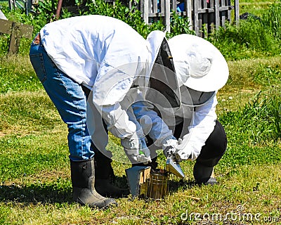 Bee Keepers Editorial Stock Photo