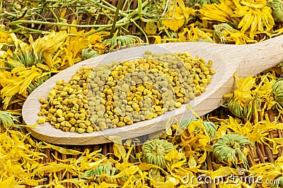 Bee pollen grains with dry calendula around Stock Photo