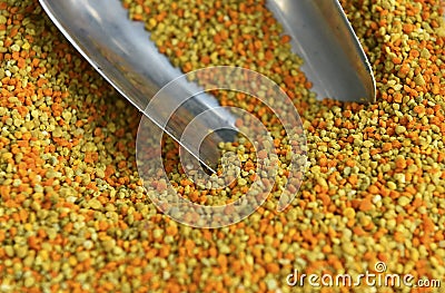 Bee pollen Stock Photo