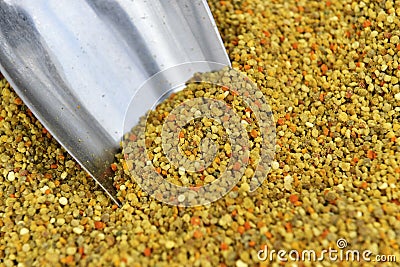 Bee pollen Stock Photo