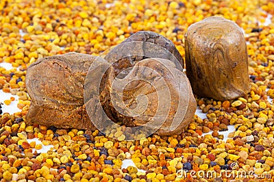 Bee pollen and propolis Stock Photo