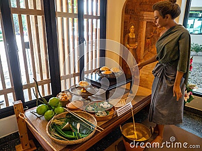 Bee Puppet Thai dessert show at Japanese village in Ayutthaya Thailand Editorial Stock Photo