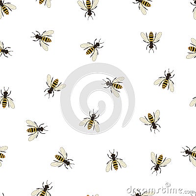 Bee seamless pattern. Black and orange silhouette of the bee. Vector Illustration