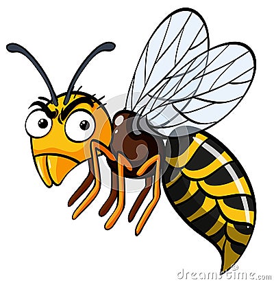 Bee with serious face Vector Illustration
