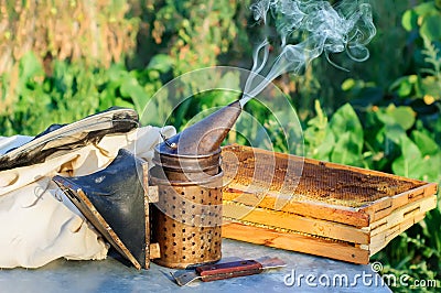 Bee smoker smoking in apiary copyspace seasonal honey bees beekeeping farming organic production producing concept. Stock Photo