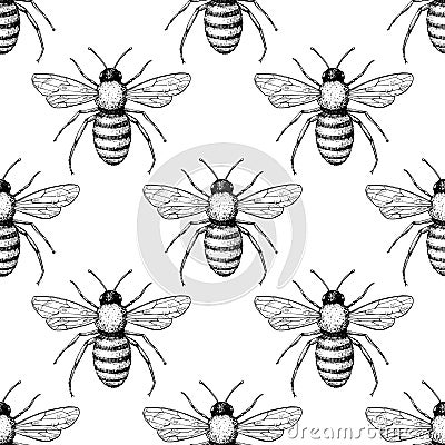Bee vector seamless pattern. Hand drawn insect background. Vector Illustration
