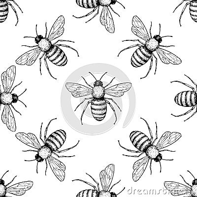 Bee vector seamless pattern. Hand drawn insect background. Vector Illustration