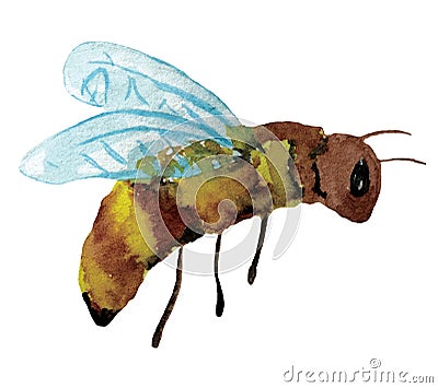 Cartoon funny bee. watercolor illustration Cartoon Illustration