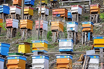 Bee Yard on the Hill Stock Photo