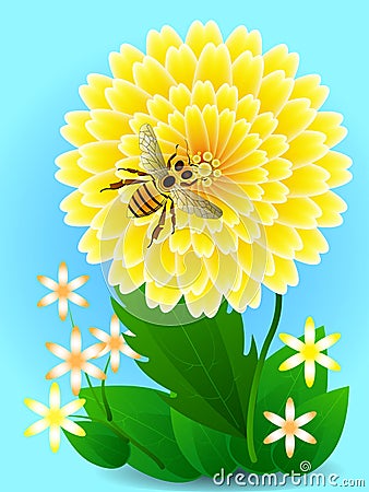 Bee on yellow flower collects honey and pollen. Vector Illustration