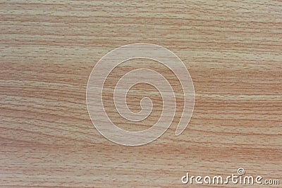 Beech wood laminate texture Stock Photo
