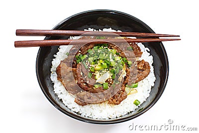 Beef bowl , japanese food Stock Photo