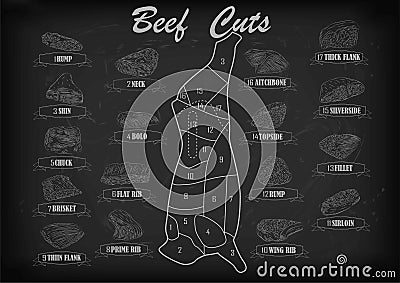 Beef cow bull side carcass cuts cut parts infographics scheme si Vector Illustration