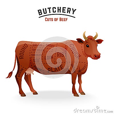 Beef cuts diagram Vector Illustration