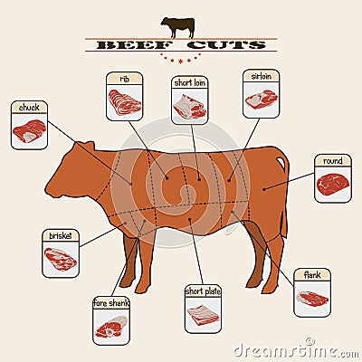 Beef cuts Vector Illustration
