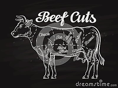 Beef cuts. template menu design for restaurant, cafe Vector Illustration