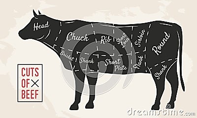 Meat cuts. Beef cuts. Vintage Poster for Restaurant or butcher shop. Retro diagram. Vector illustration. Vector Illustration