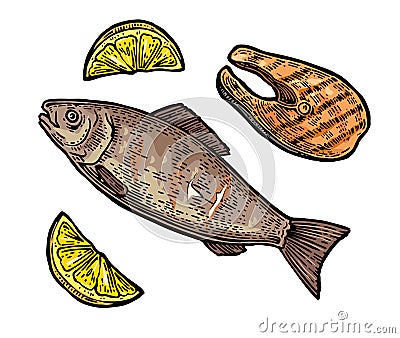 Beef grilled fish steak with lemon top view. Vector Illustration