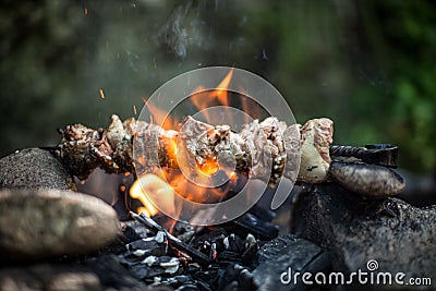 Beef kebab cooking on skewer with flame sparks barbecue on bonfire in forest at travel Stock Photo