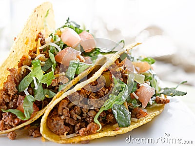 Beef tacos with lettuce cheese and tomato Stock Photo