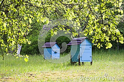 Beehive Stock Photo