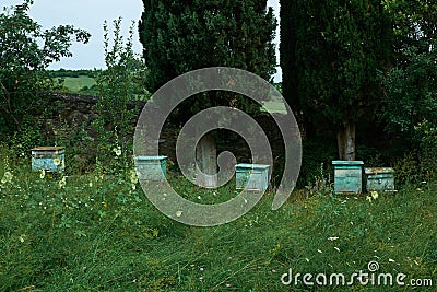 Beehive in the garden Stock Photo