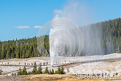 Beehive geyser erupting in Yellowstone Editorial Stock Photo