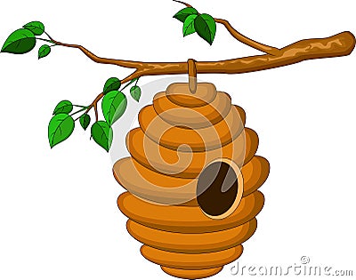 Beehive hanging from a branch isolated Stock Photo