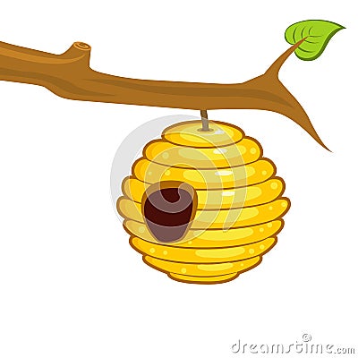 Beehive hanging from a branch Vector Illustration