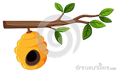 Beehive hanging from a tree branch with leaves Vector Illustration