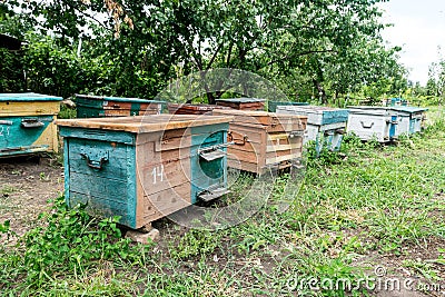 Beehive - the house of bees in the bosom of nature. Work beekeeper. Healing product of beekeeping. May, flower honey. Stock Photo