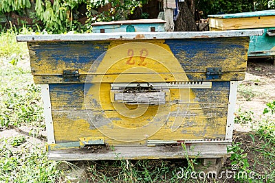 Beehive - the house of bees in the bosom of nature. Work beekeeper. Healing product of beekeeping. May, flower honey. Stock Photo